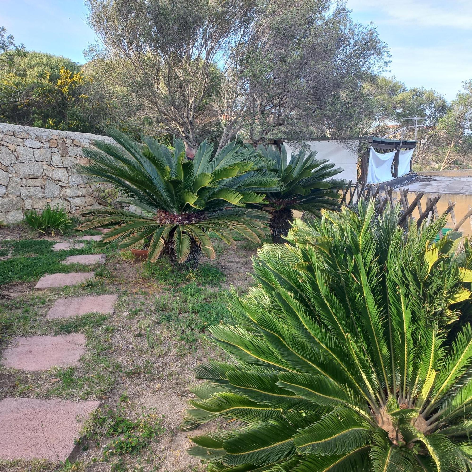 Villa Graziella La Maddalena  Exterior photo