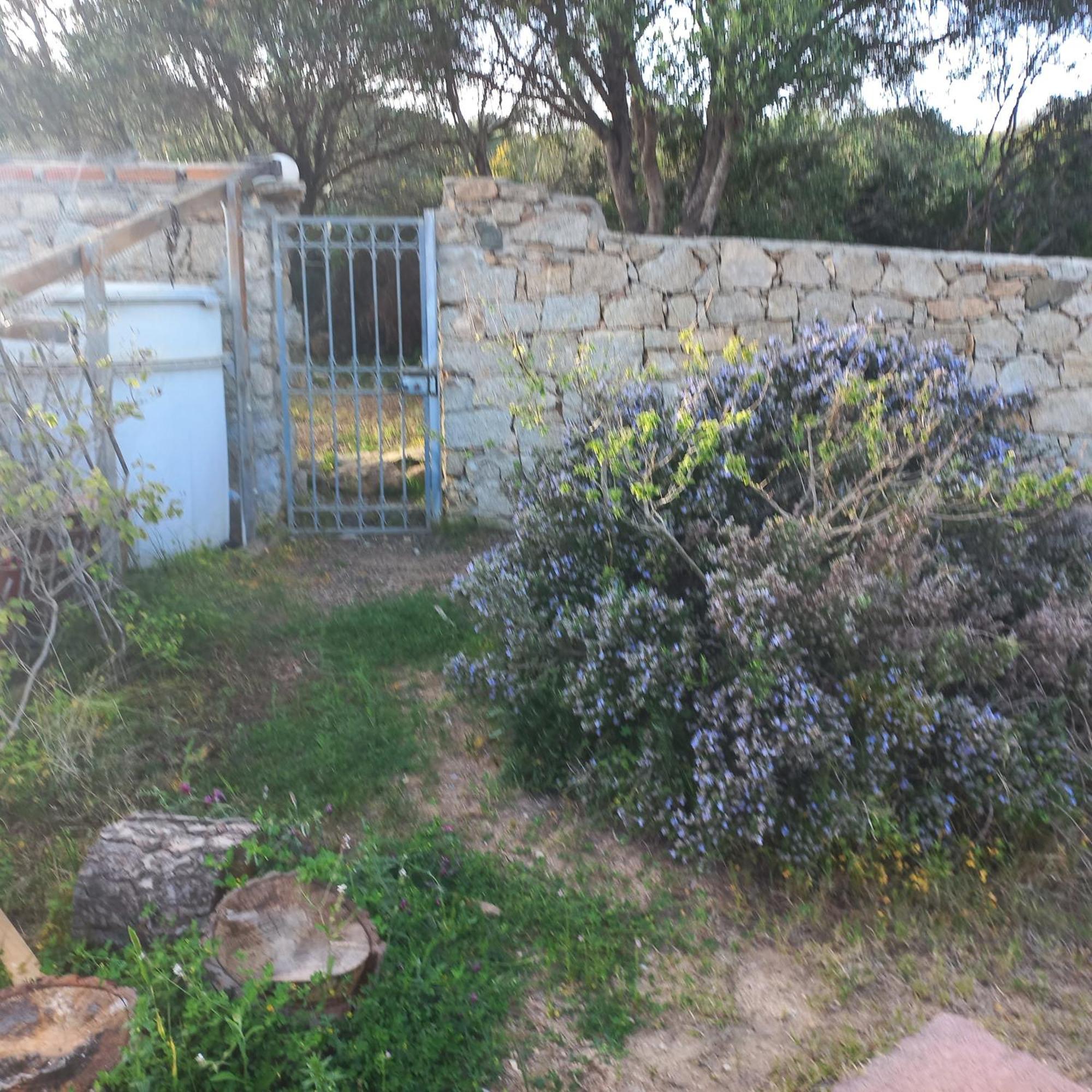 Villa Graziella La Maddalena  Exterior photo